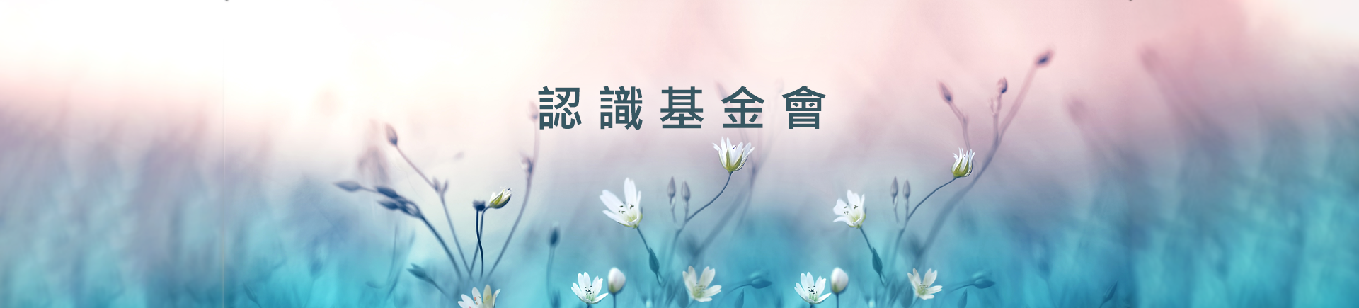 認識基金會主視覺-桌機
